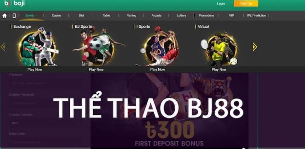 Các sảnh thể thao đang có mặt tại nhà cái BJ88