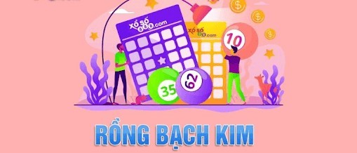 Người chơi nên chốt số với lô gan để dễ về bờ