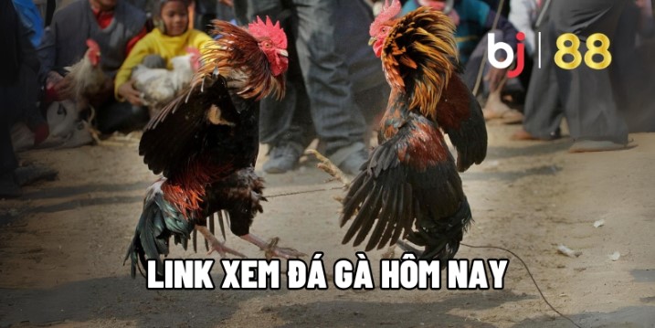 Sở hữu hàng loạt ưu điểm vượt trội riêng biệt